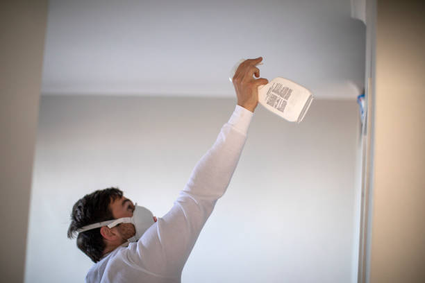 Best Commercial Mold Removal  in Withamsville, OH