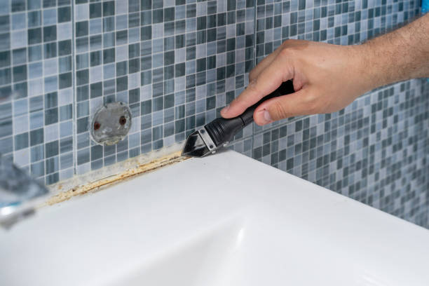 Best Mold Remediation Experts  in Withamsville, OH